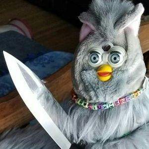 Meet your Posher, Izzie